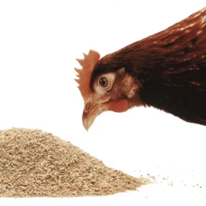 Poultry Feed